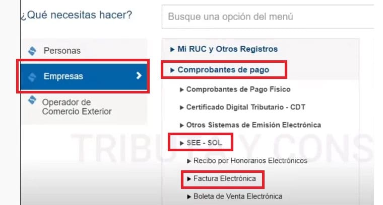 ¿cómo Emitir Una Factura Electrónica En Sunat 2021emk 5200